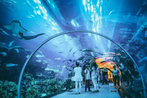Places to Visit in Dubai - Dubai Aquarium and Underwater Zoo