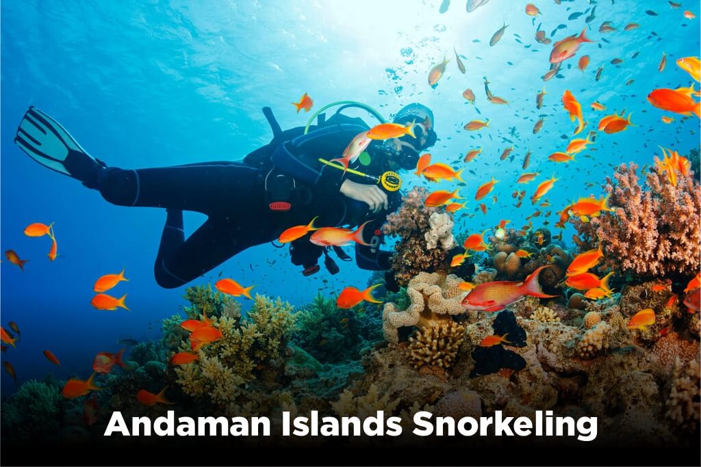 Andaman-Islands-Snorkeling