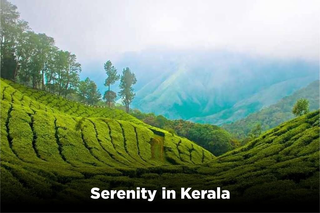 Backwater-Houseboat-Cruise-Serenity-in-Kerala