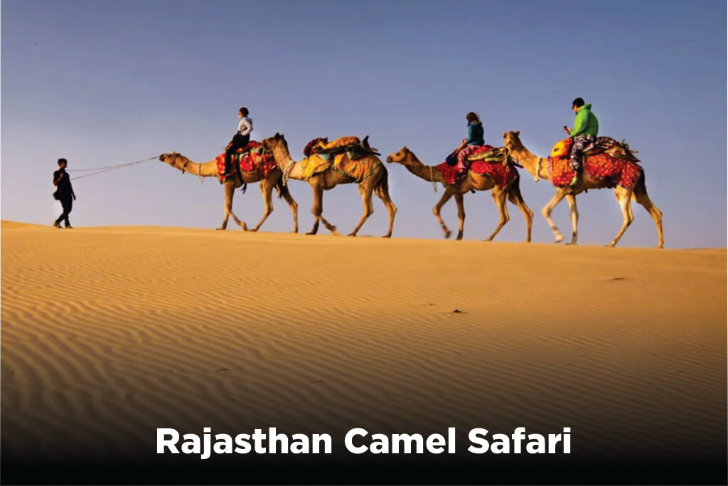 Rajasthan-Camel-Safari