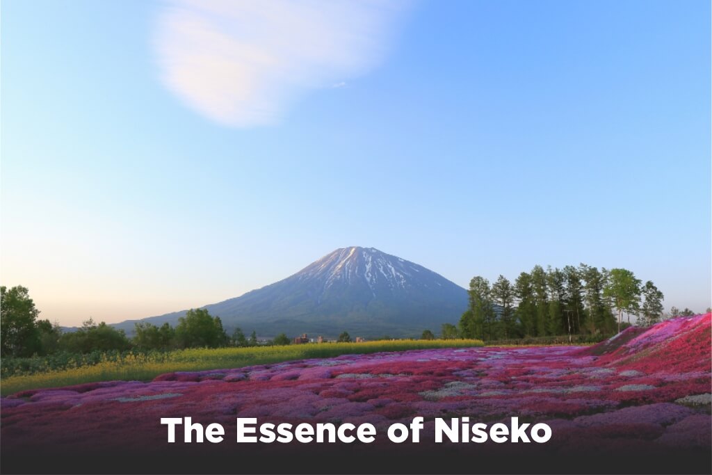 Essence-of-Niseko
