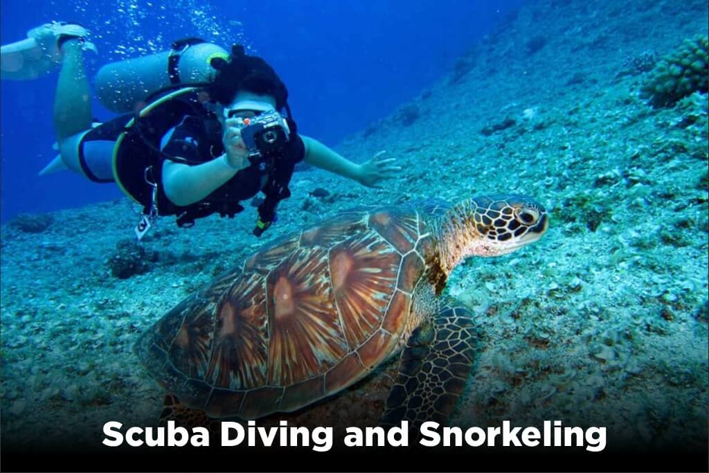 Scuba-Diving-and-Snorkeling