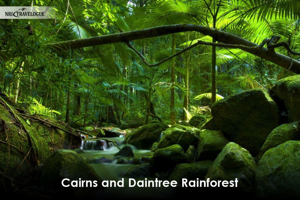 Cairns-and-Daintree-Rainforest