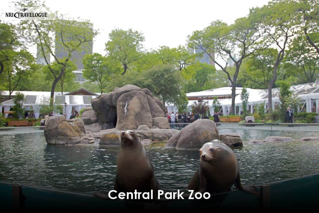 Central Park Zoo