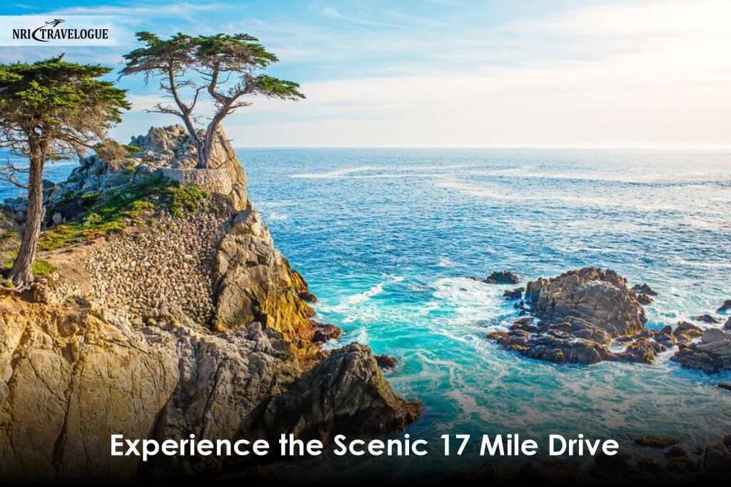 Experience-the-Scenic-17-Mile-Drive