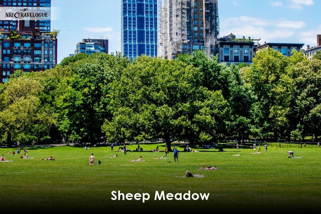 Sheep Meadow