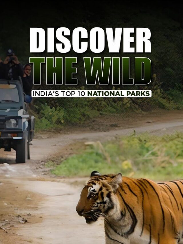 Discover the Wild: India’s Top 10 National Parks