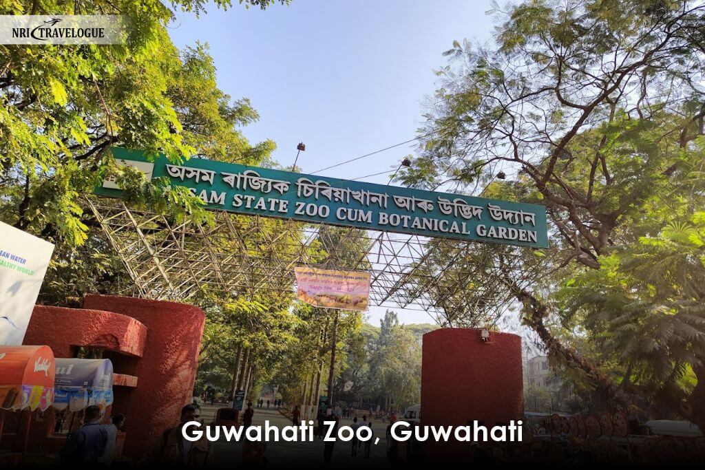 Guwahati-Zoo-Guwahati