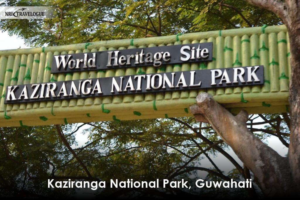 Kaziranga-National-Park-Guwahati