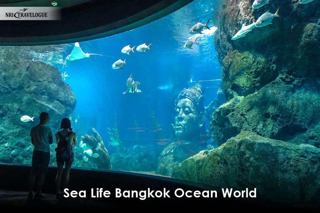 Sea-Life-Bangkok-Ocean-World