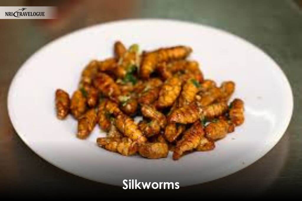 Silkworms-in-guwahati