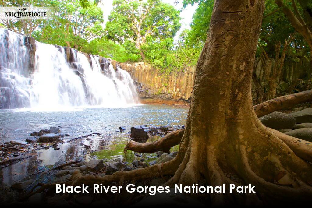 Black River Gorges National Park