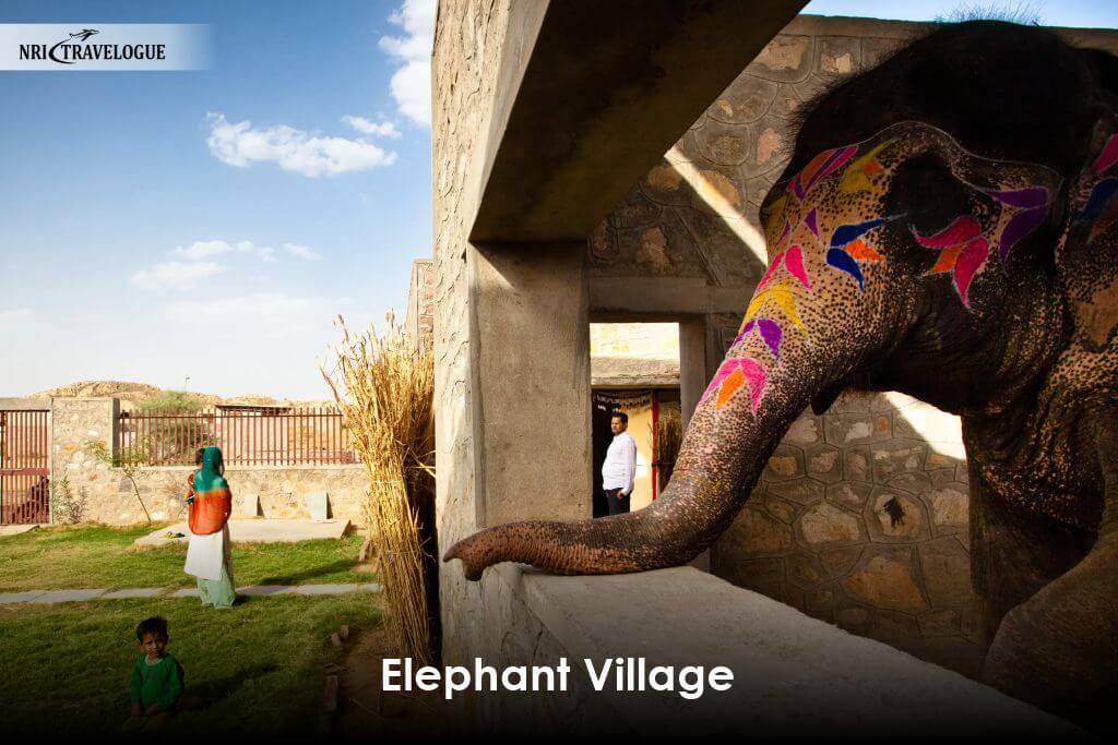 Elephant Village