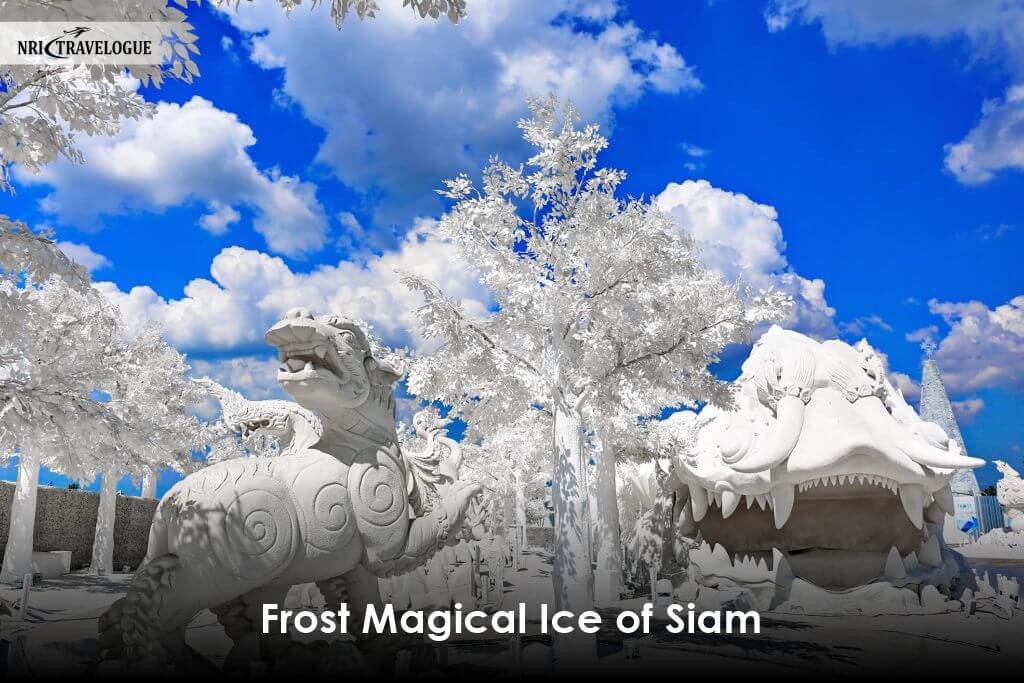 Frost Magical Ice of Siam