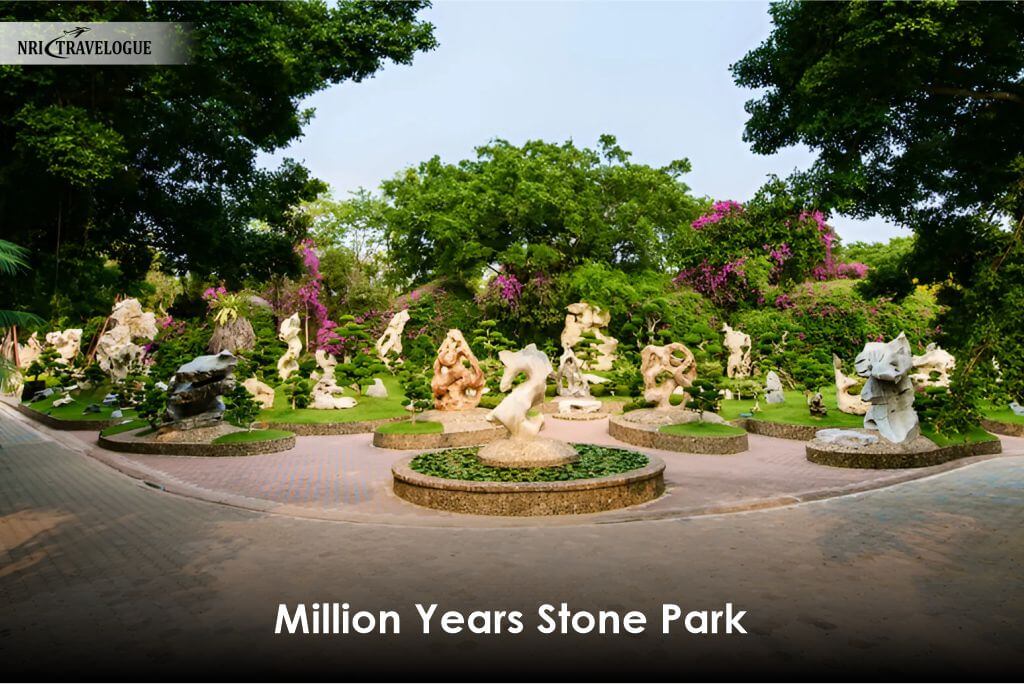 Million Years Stone Park