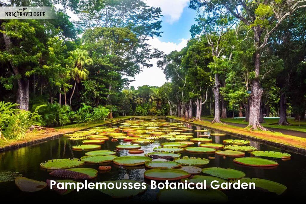 Pamplemousses Botanical Garden