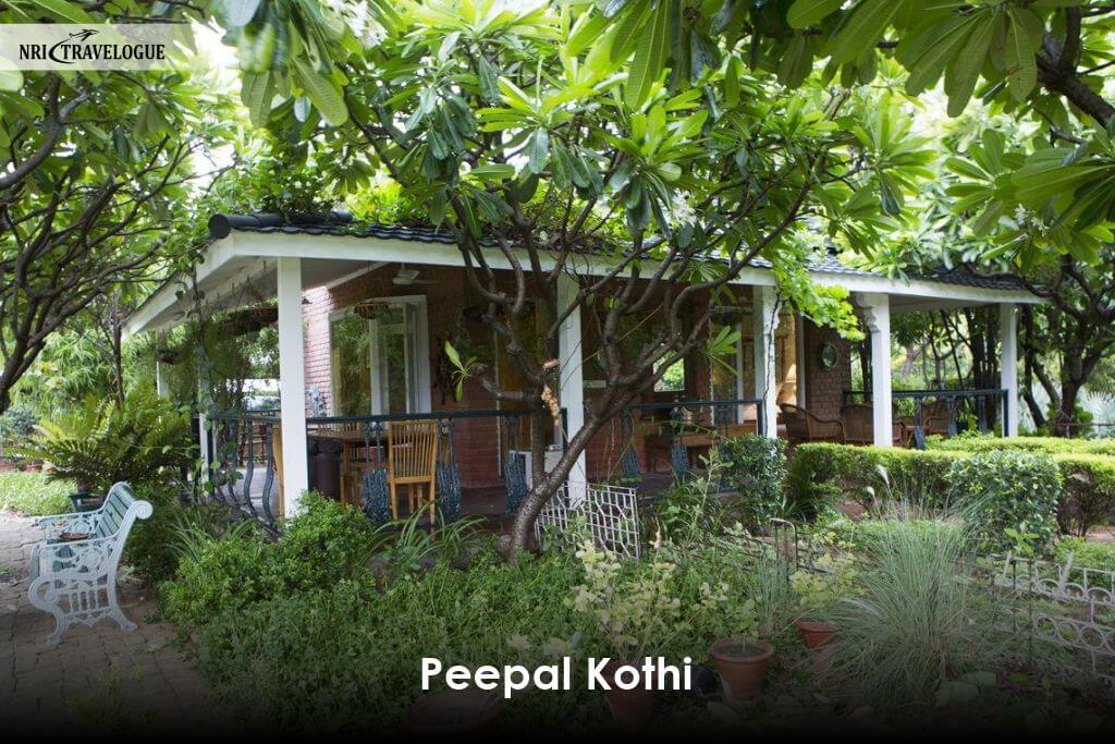 Peepal Kothi