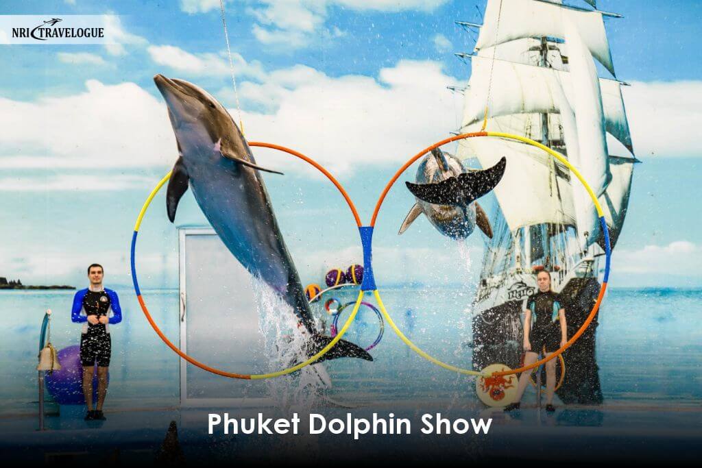 Phuket Dolphin Show