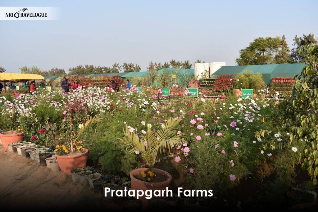 Pratapgarh Farms