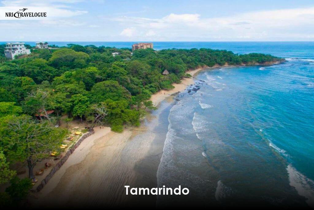 Tamarindo