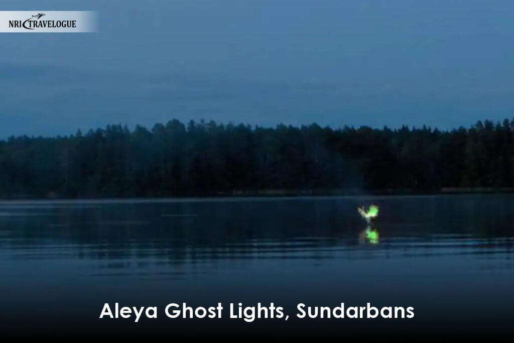 Aleya Ghost Lights, Sundarbans