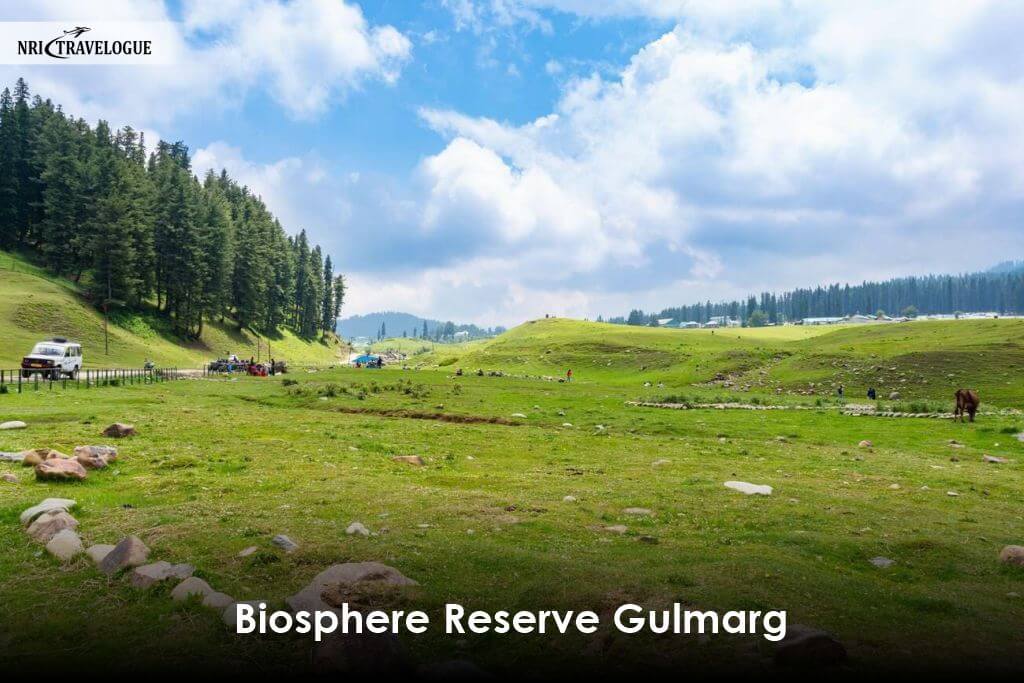 Biosphere Reserve Gulmarg