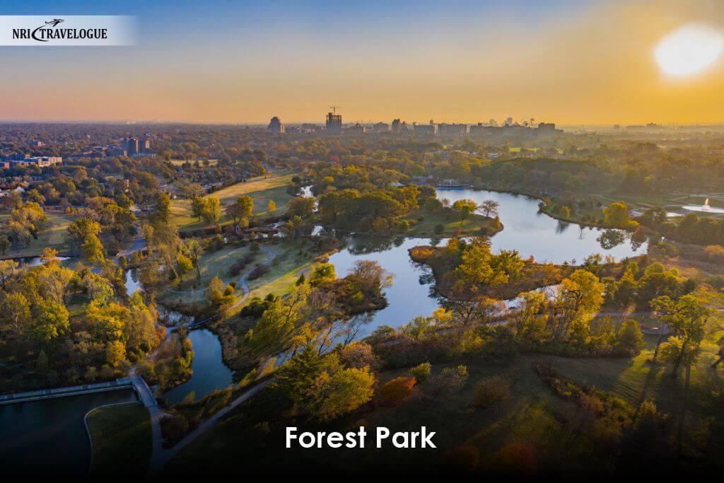 Forest Park