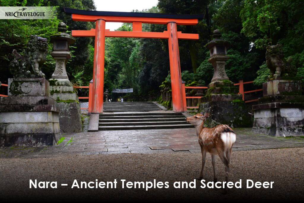 Nara – Ancient Temples and Sacred Deer