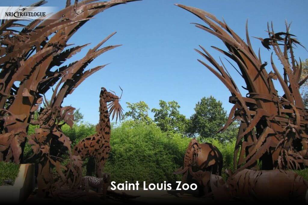 Saint Louis Zoo