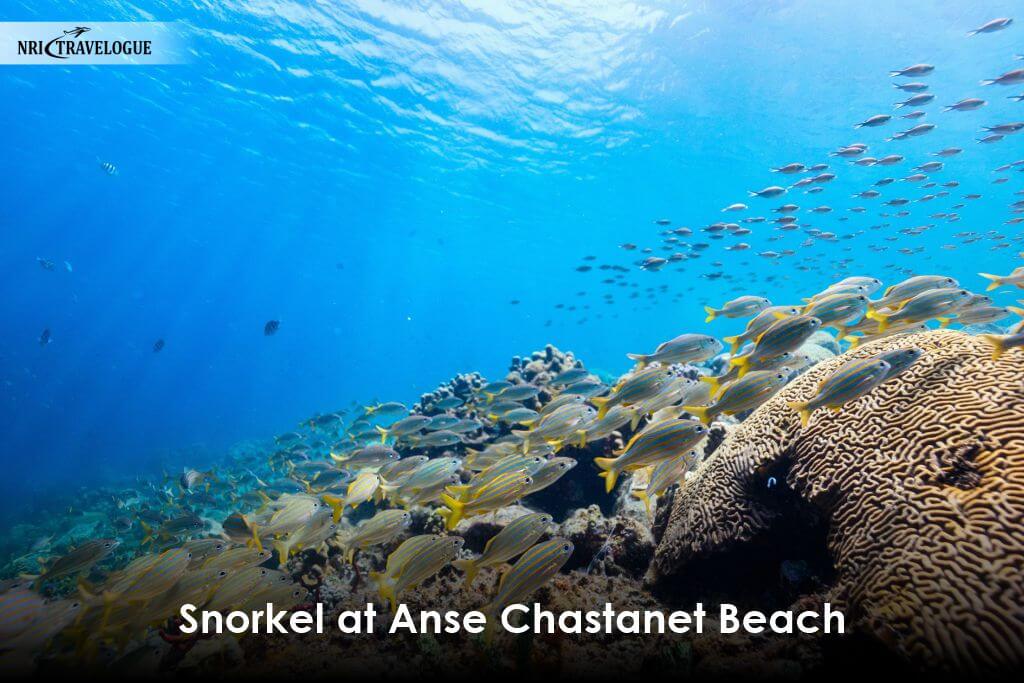 Snorkel at Anse Chastanet Beach