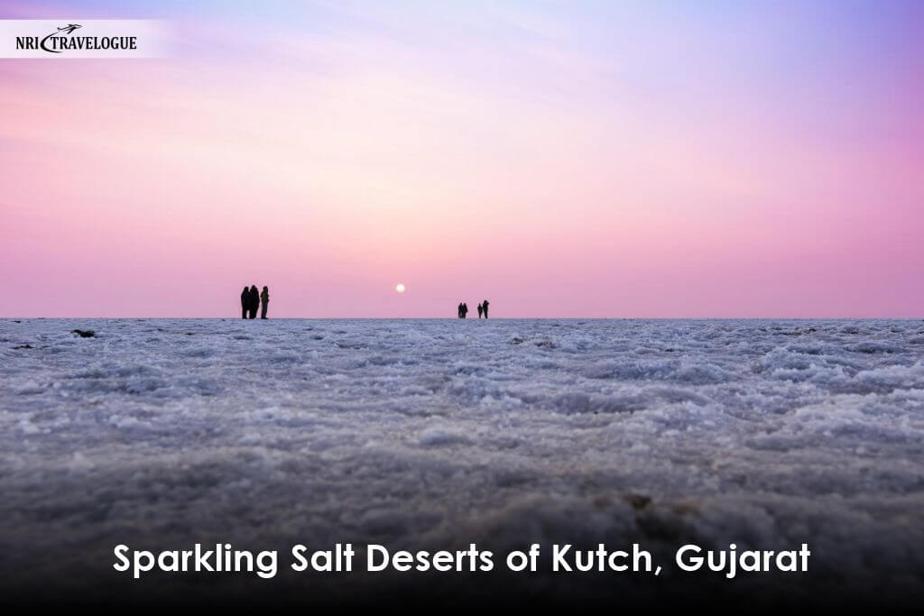 Sparkling Salt Deserts of Kutch, Gujarat