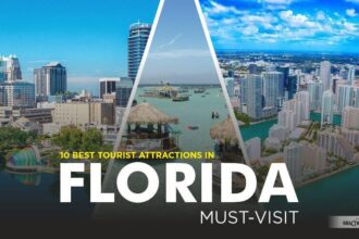 Tourist Attractions in Florida