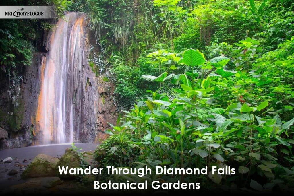 Wander Through Diamond Falls 