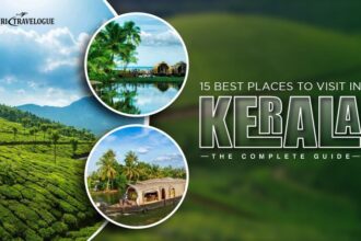 15 Best Places to Visit in Kerala