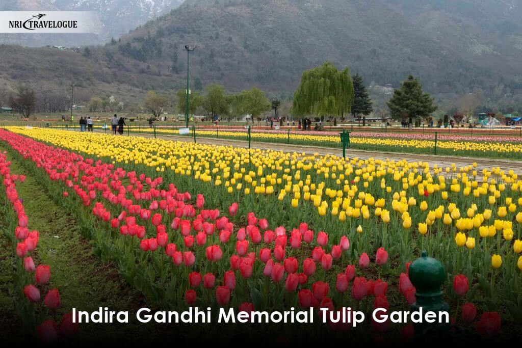 Indira Gandhi Memorial Tulip Garden