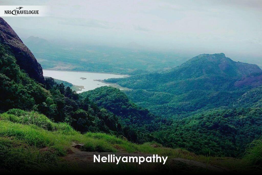 Nelliyampathy