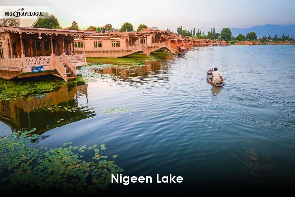 Nigeen Lake