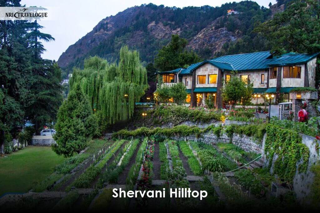 Shervani Hilltop - Nainital