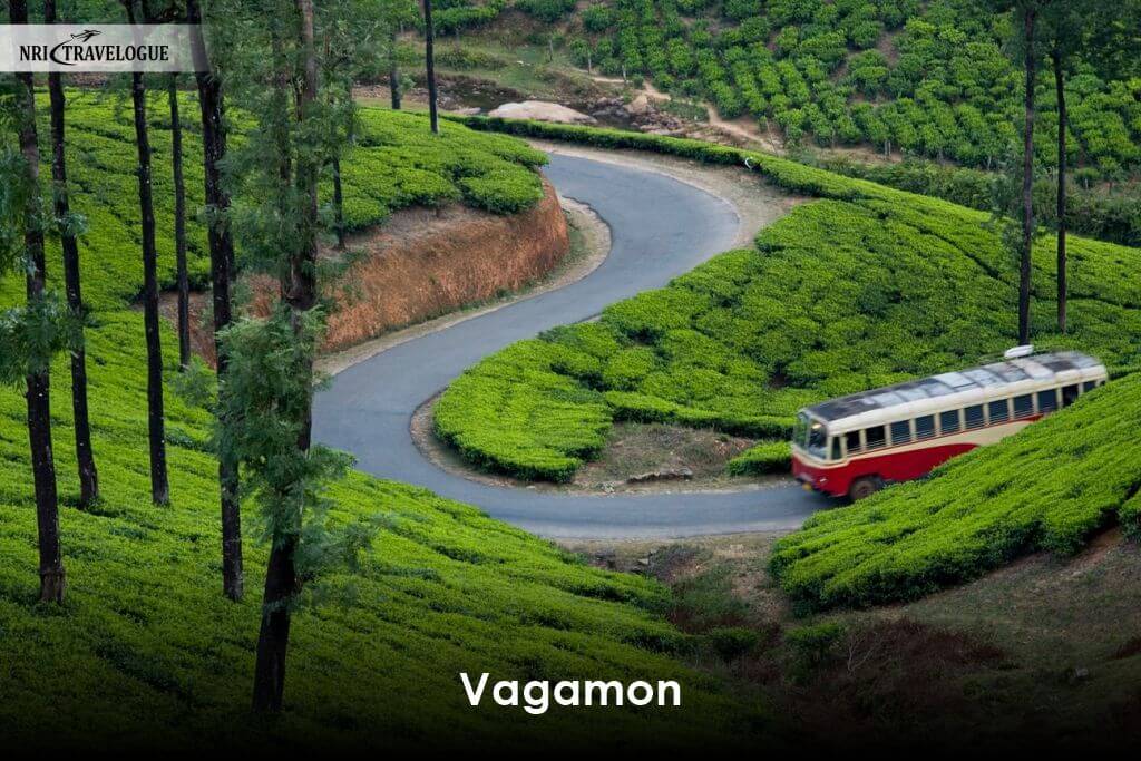 Vagamon