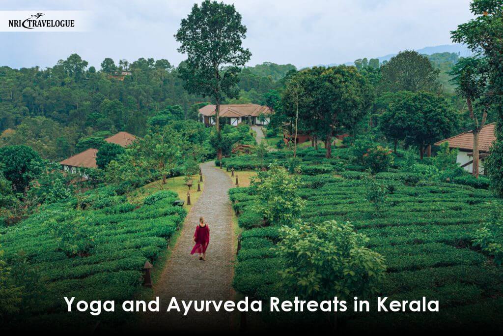 Yoga and Ayurveda Retreats in Kerala