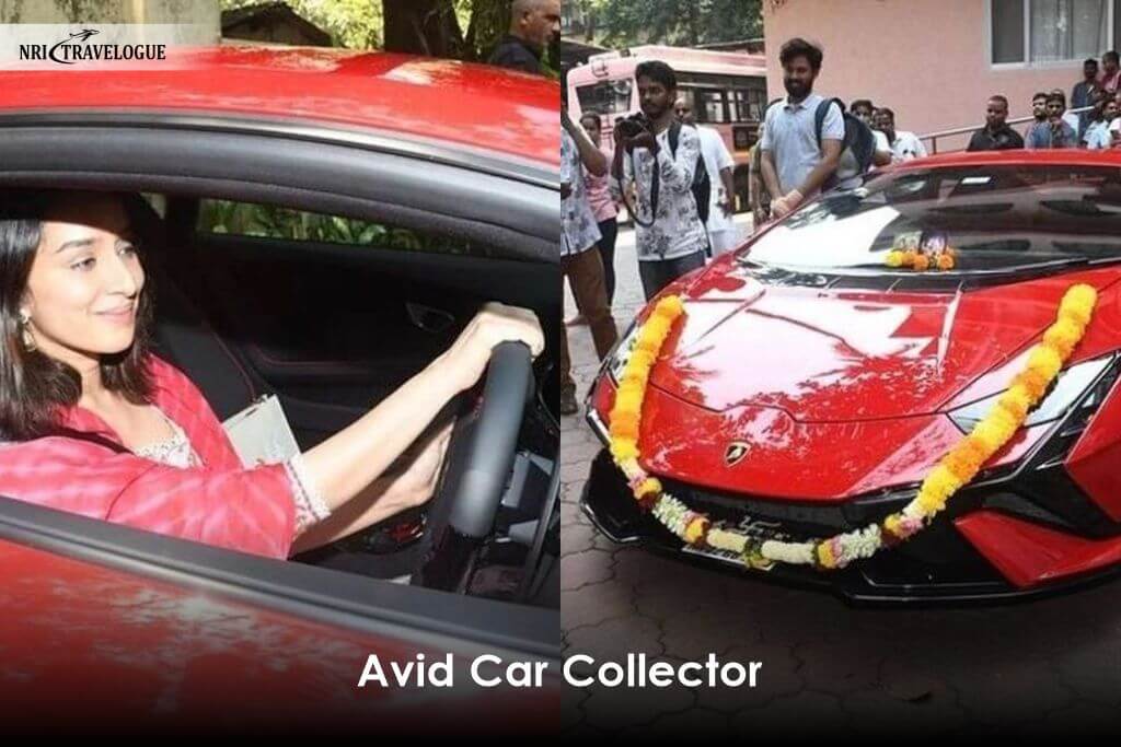 Avid Car Collector