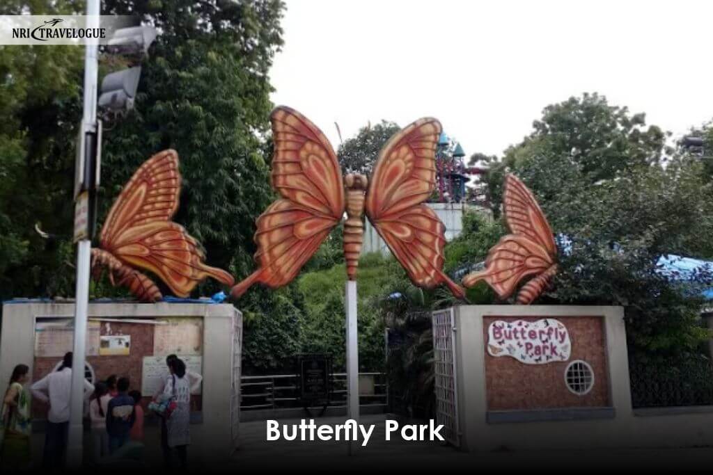 Butterfly Park