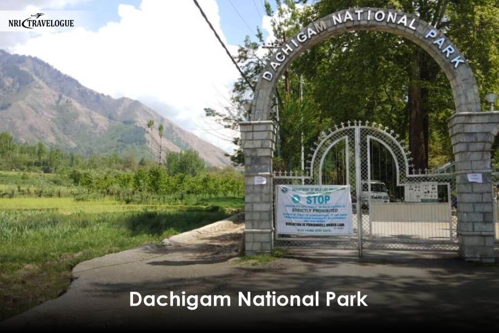 Dachigam National Park