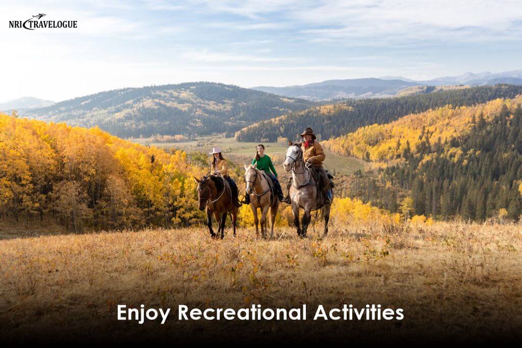 Enjoy Recreational Activities