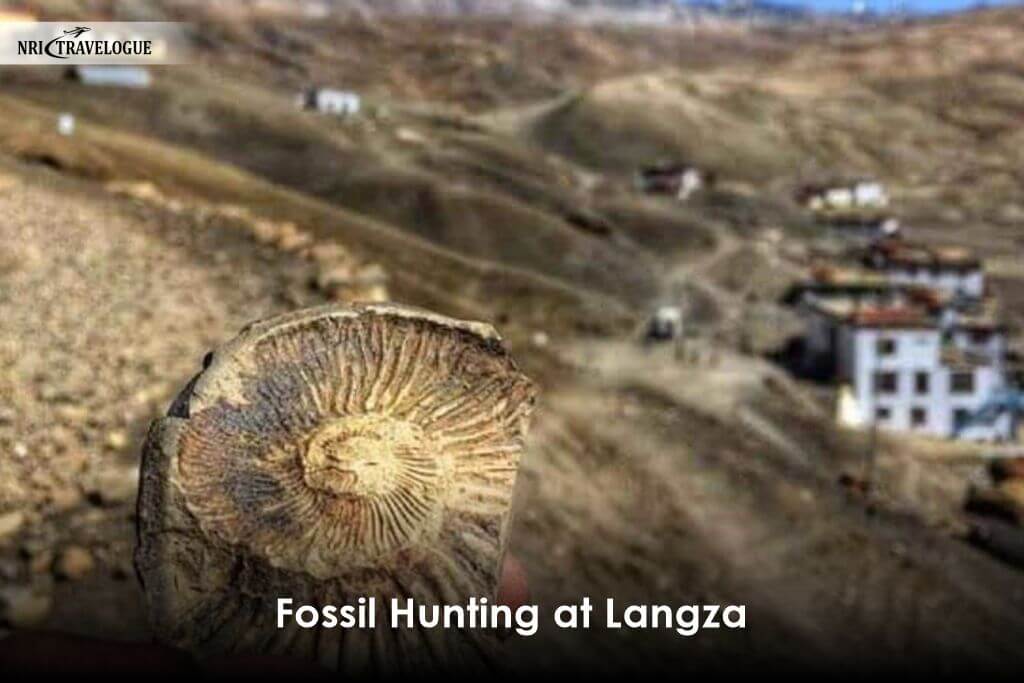 Fossil Hunting at Langza