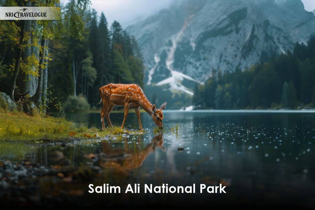 Salim Ali National Park