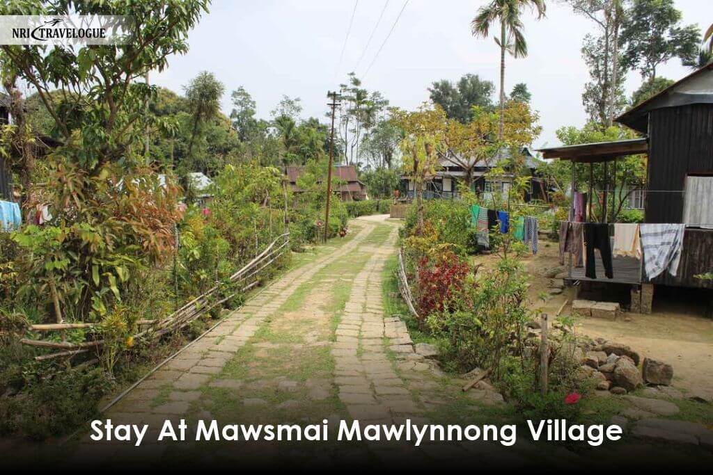 Stay At Mawsmai Mawlynnong Village