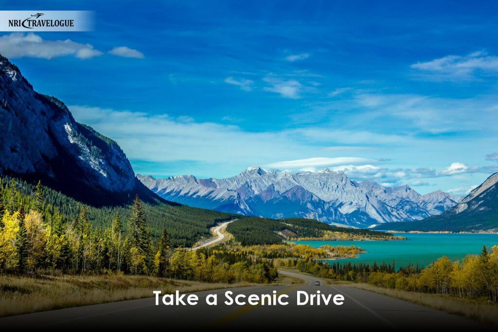 Take a Scenic Drive