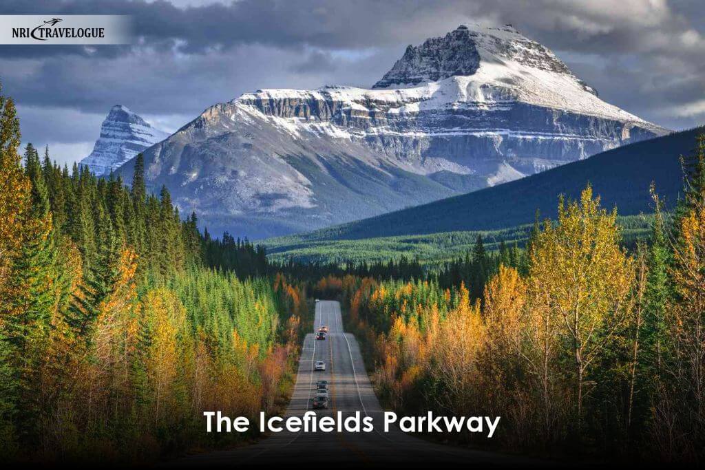 The Icefields Parkway