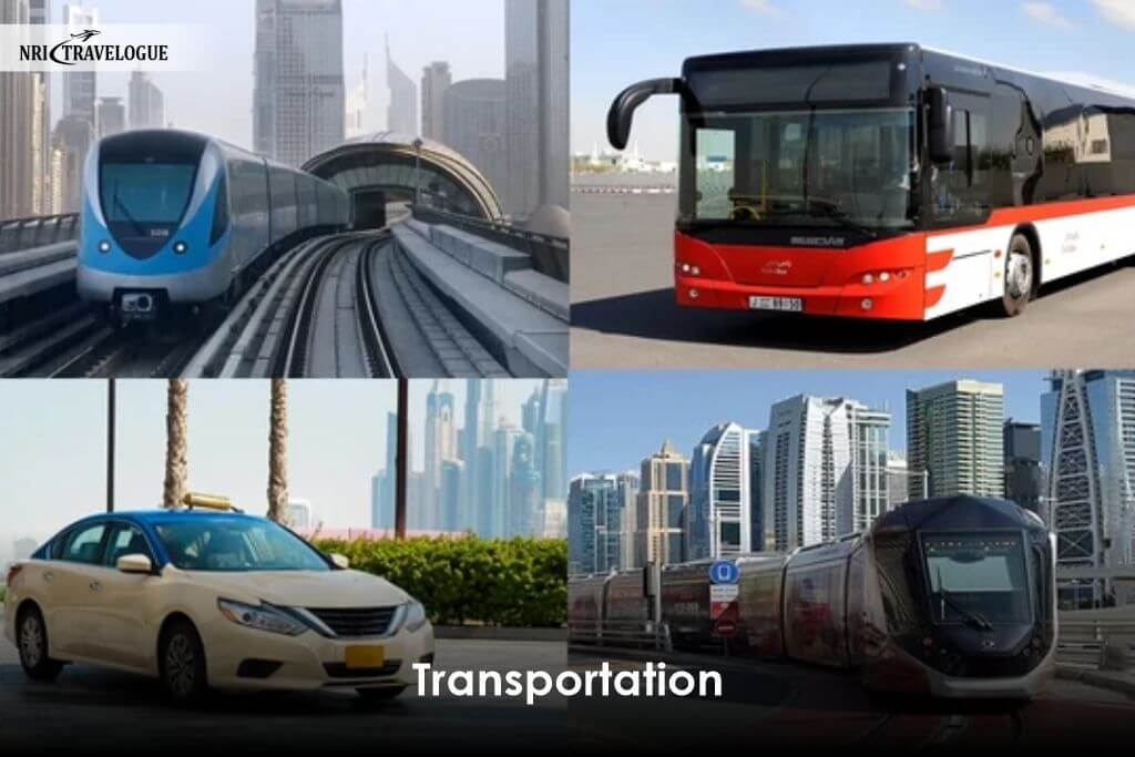 Transportation 